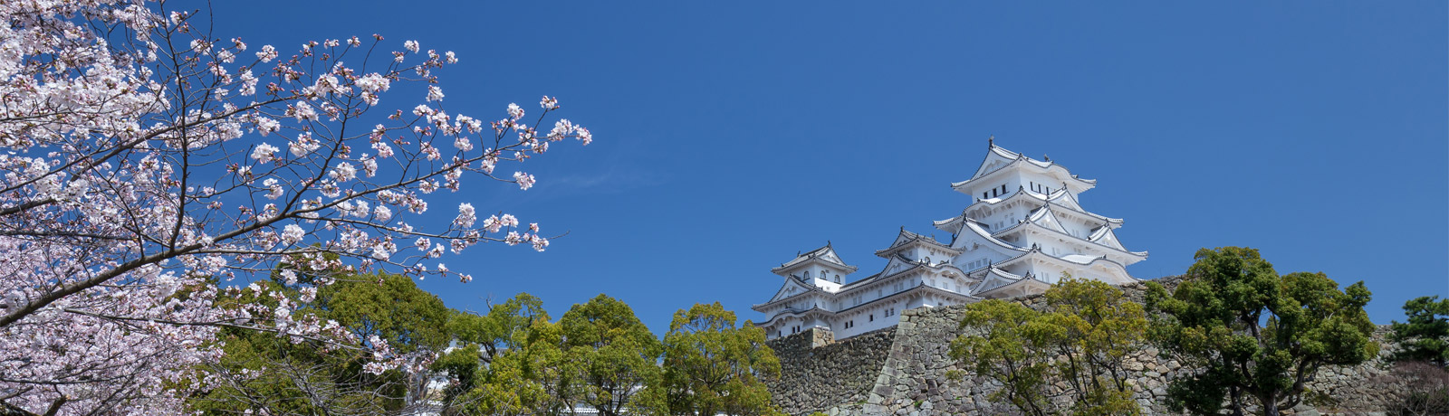 姫路　美術館